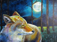 Coyote Moon